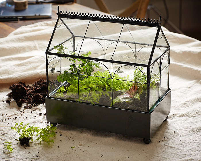 Gardening 101 How to Make a Closed Terrarium Gardenista